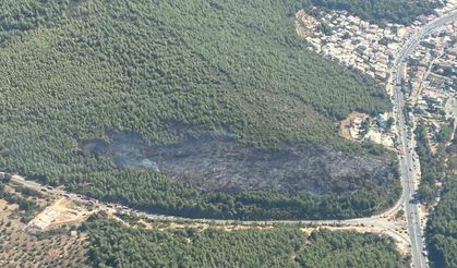 Bodrum orman yangını kontrol altına alındı