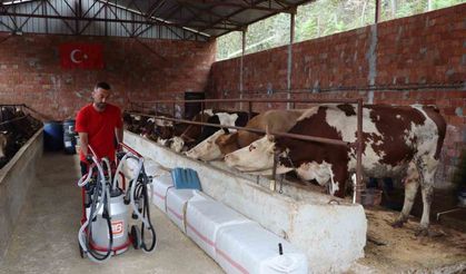 Ordu’da sütün değeri artıyor