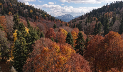 Adana'da Sonbahar Güzelliği