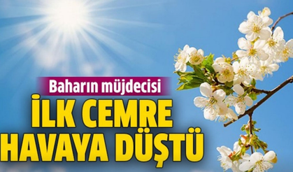İlk Cemre Havaya Düştü