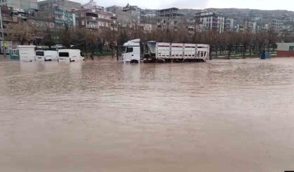 Şanlıurfa'da sağanak yağış sele dönüştü: Ev ve oteli su bastı
