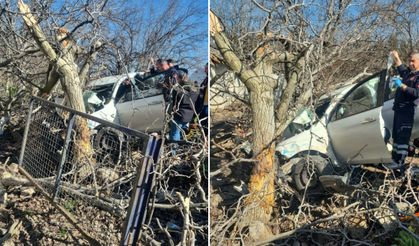 Kontrolden Çıkan Otomobil Ağaçlara Ok Gibi Saplandı: 2 Ölü, 1 Ağır Yaralı