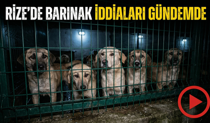 Rize’de Barınak İddiaları Gündemde