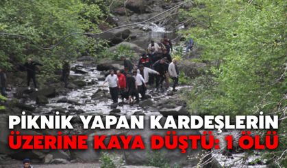 Piknik Yapan Kardeşlerin Üzerine Kaya Düştü: 1 Ölü