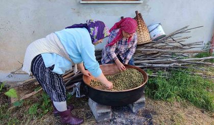 Karadeniz'de Dut Pekmezi Mesaisi Başladı