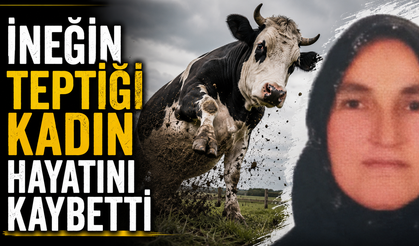 İneğin Teptiği Kadın Hayatını Kaybetti