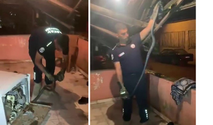 Bulaşık Makinesine Giren 2 Metrelik Karayılanı İtfaiye Çıkardı