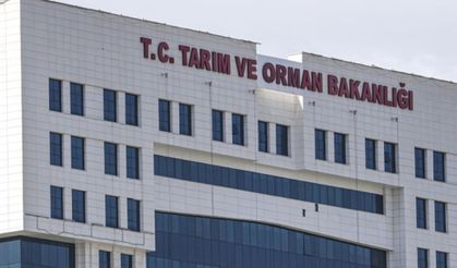 Tarım ve Orman Bakanlığı 1874 Sözleşmeli Personel Alacak! Detaylar Belli Oldu