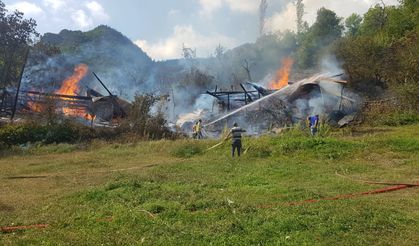 Artvin’de Köy Yangını: 2 Ev Alevlere Teslim Oldu
