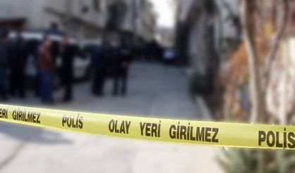 Ordu'da Uçurumdan Düşen İki Kız Kardeş Hayatını Kaybetti