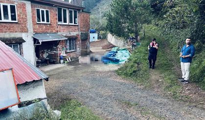 Ordu'da Kardeşler Arasındaki Arazi Kavgası Kanlı Bitti