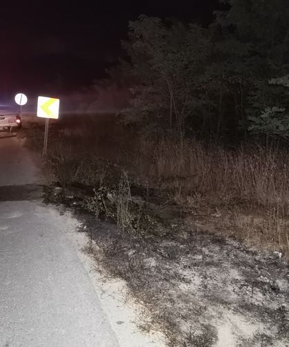 Samsun'da Seyir Halindeki Tır'da Çıkan Yangında Alevler Ağaçlara Sıçradı