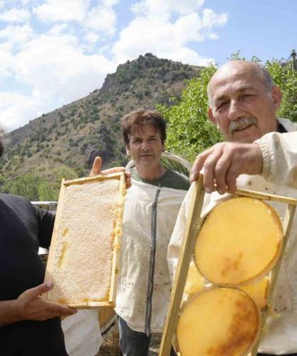 Gümüşhane’de 2025 Yılı Bal Hasadı Üreticilerin Yüzünü Güldürdü