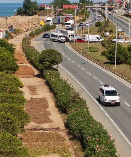 Karadeniz Sahil Yolu Fındıkçılar İçin Harman Yeri Oldu