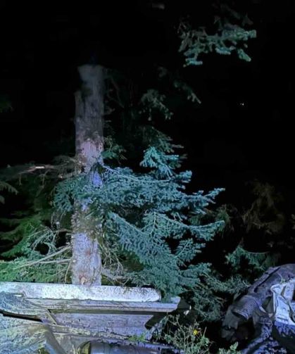 Artvin’de kamyon uçuruma yuvarlandı, karı koca hayatını kaybetti