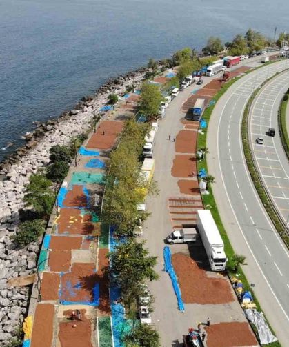 Giresun’da fındık hasadının ardından üreticilerin kurutma mesaisi sürüyor