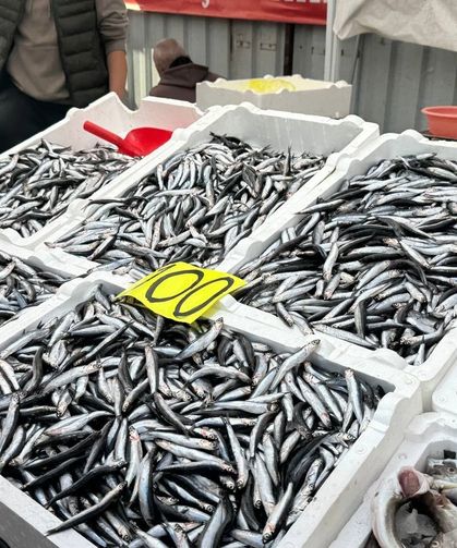Tezgahta 100 Liraya Düşen Hamsi Yoğun İlgi Gördü