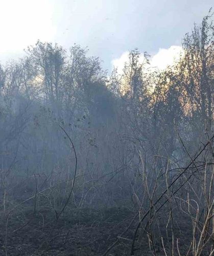 Artvin Hopa’da Ziraat Alanında Çıkan Yangın Ormana Sıçradı