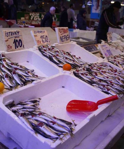 Hamsi Zirvedeki Yerini İstavrite Bıraktı