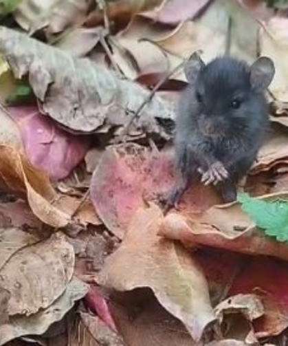 Tarla Faresiyle Kurduğu Diyalog Sosyal Medyada İlgi Çekti