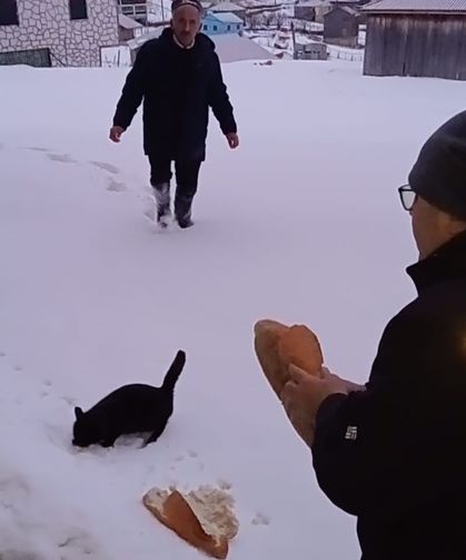 Kar Altındaki Yaylalarda Hayvanlar İçin Seferberlik