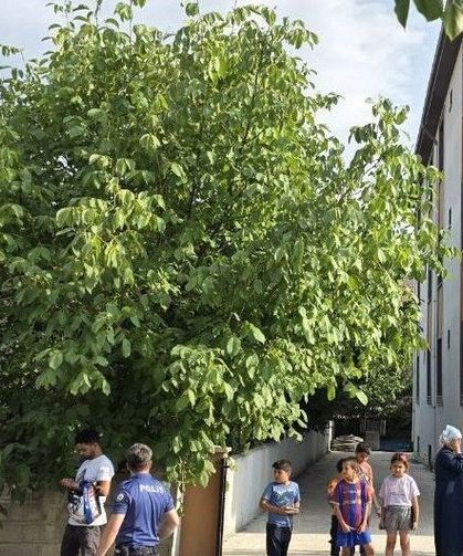 3 Aylık Yaşam Mücadelesi Son Buldu