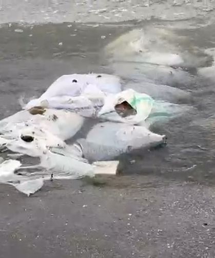 Samsun'da Denizde Çuvallar İçinde İnşaat Malzemesi Bulundu