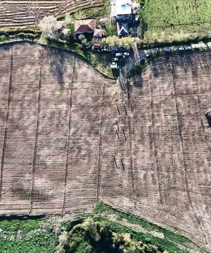 Türkiye'deki Şehirler, Samsun'da Üretilen Fidanlarla Yeşerdi