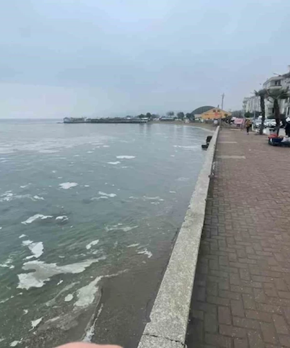 Yüzme Bahanesiyle 5 Yaşındaki Çocuğunu Öldürdü