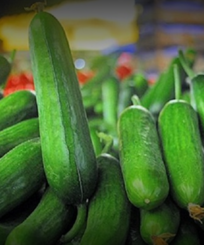 Şubat Ayında En Çok Salatalık Pahalandı