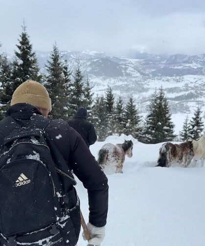 2 Bin 100 Rakımlı Kışlada Aylarca Kar Altında Mahsur Kalan Atları Köyün Gençleri Kurtardı