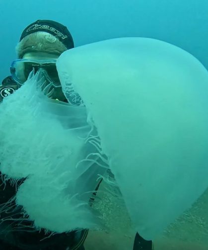 Balıkçıların Kabusu Oldular