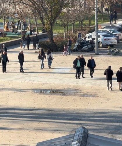 Domuz Gribi Vakalarında Artış