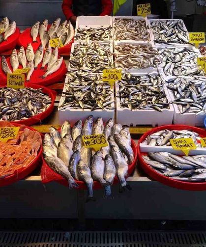 Hamside Beklenen Son