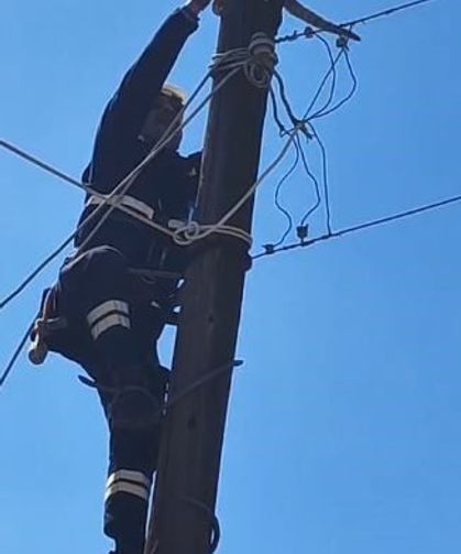 Köpeklerden Korkup Elektrik Direğine Çıkan Kedi Kurtarıldı
