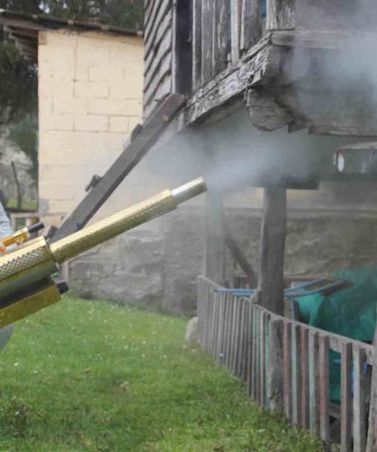 Ordu'da Kahverengi Kokarca İle Kışlak Mücadelesi