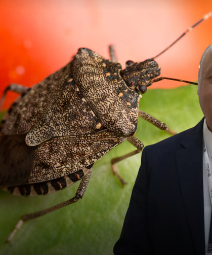 Karadeniz'in Kabusu Kokarca İçin Umut Veren Açıklama