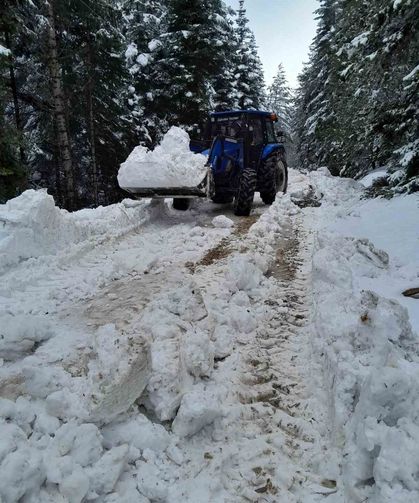 Bolu'da Karla Kaplanan Yayla Yollarını Köylüler Açtı