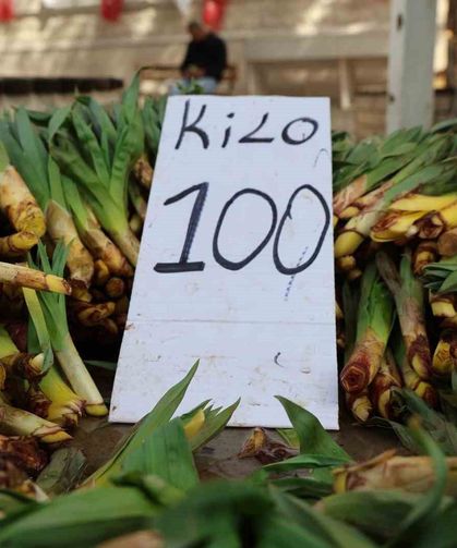 Dağlardan Toplanan Doğal Antibiyotik, Tezgahlarda Yerini Aldı