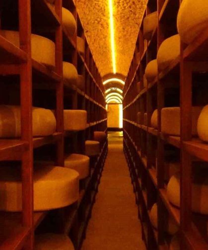 Kars Peynir Müzesi Turistlerin Gözdesi Oldu