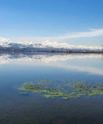 Meteorolojiden Zirai Don Uyarısı