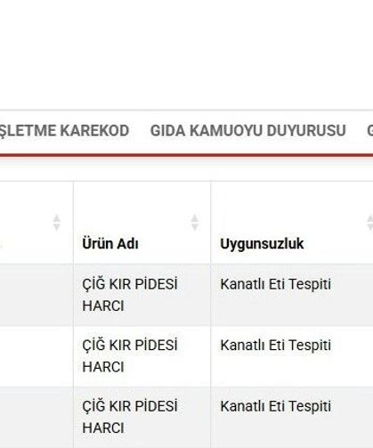Ordu'da Kır Pidesi Harcından 'Kanatlı Eti' Çıktı