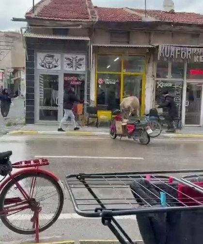 Sahibinin Elinden Kaçan İnek Bakın Nereye Girmeye Çalıştı