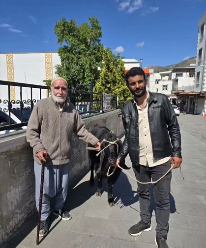 70 Kiloluk Dev Keçi 36 Bin Liraya Satıldı