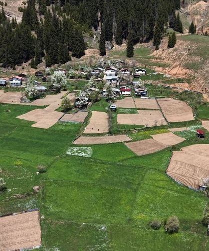 Artvin'de 1400 Rakımda İmece Usulü Doğal Tarım