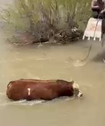 Kesime Bir Gün Kala Ortalığı Birbirine Kattı, 4 Saat Sonra Yakalandı