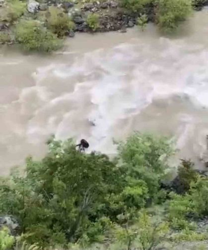 Artvin'de Bir Otomobil Çoruh Nehri'ne Düştü; Baba İle Oğlu Aranıyor