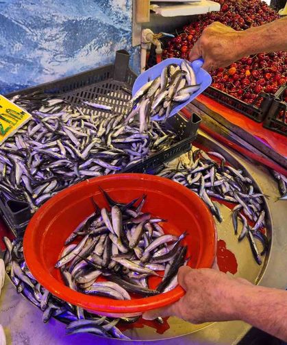 Balıkçı Esnafından 'Yazın Balık Yenmez' Algısına Tepki