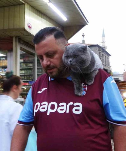 Kayıp Kedi 'Tom' 4 Gün Sonra Bulundu
