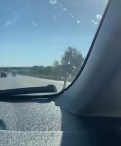 Seyir Halindeki Aracın Kaputunda Yılan Paniği